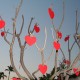 Valentinstag Geschenkidee – Puzzleblumen für dich!